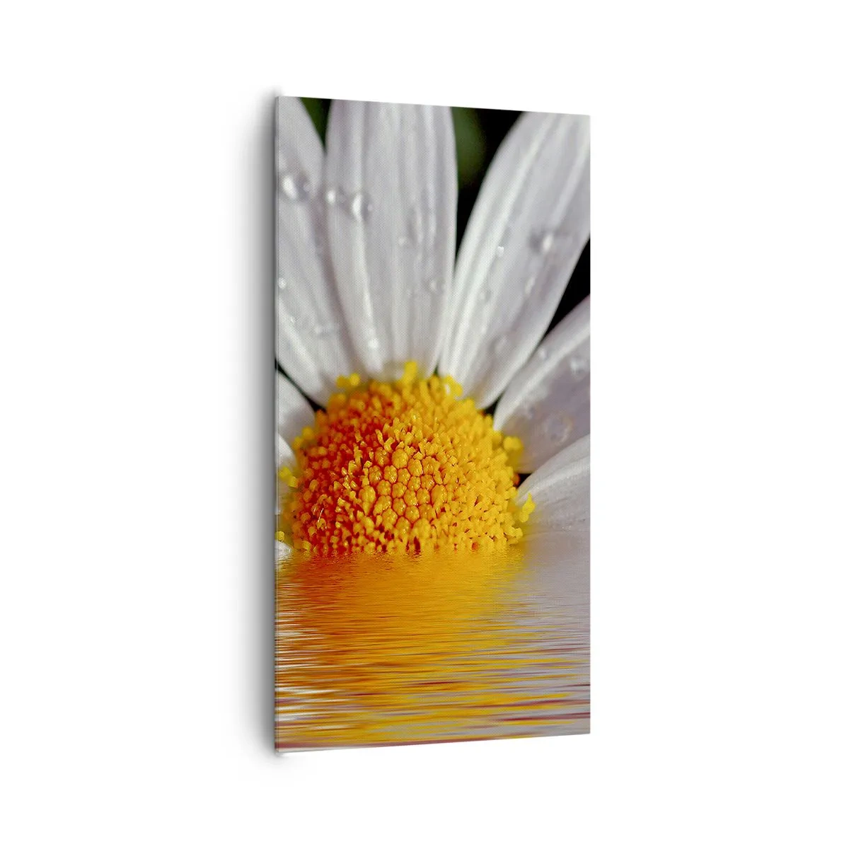 Quadro em tela - As margaridas do sol nascente - 65x120 cm