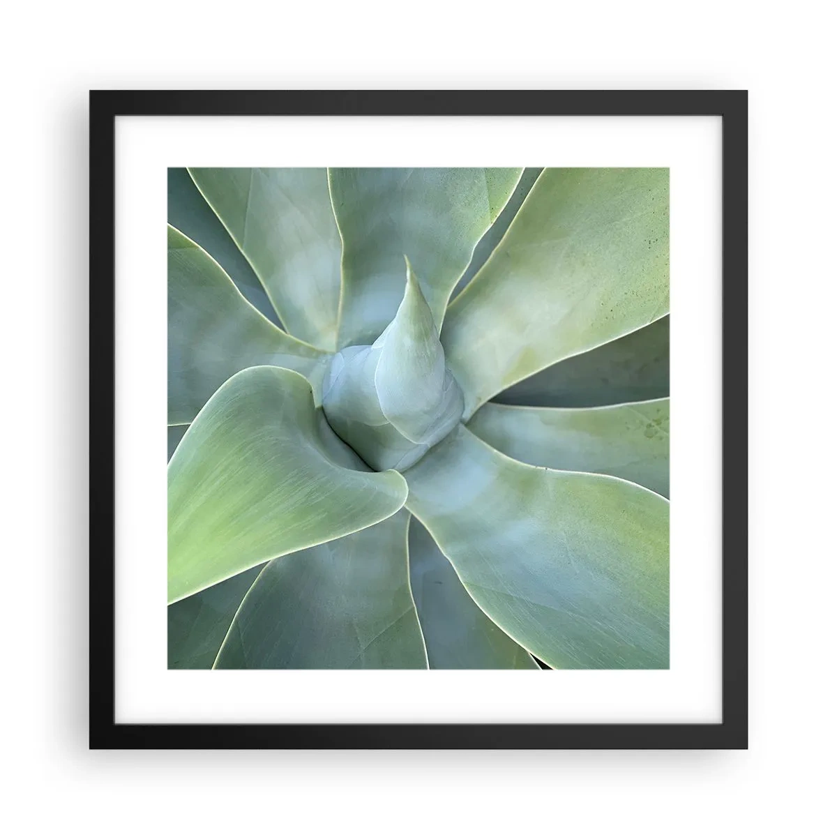 Pôster com moldura preta - O nascimento da vegetação - 40x40 cm