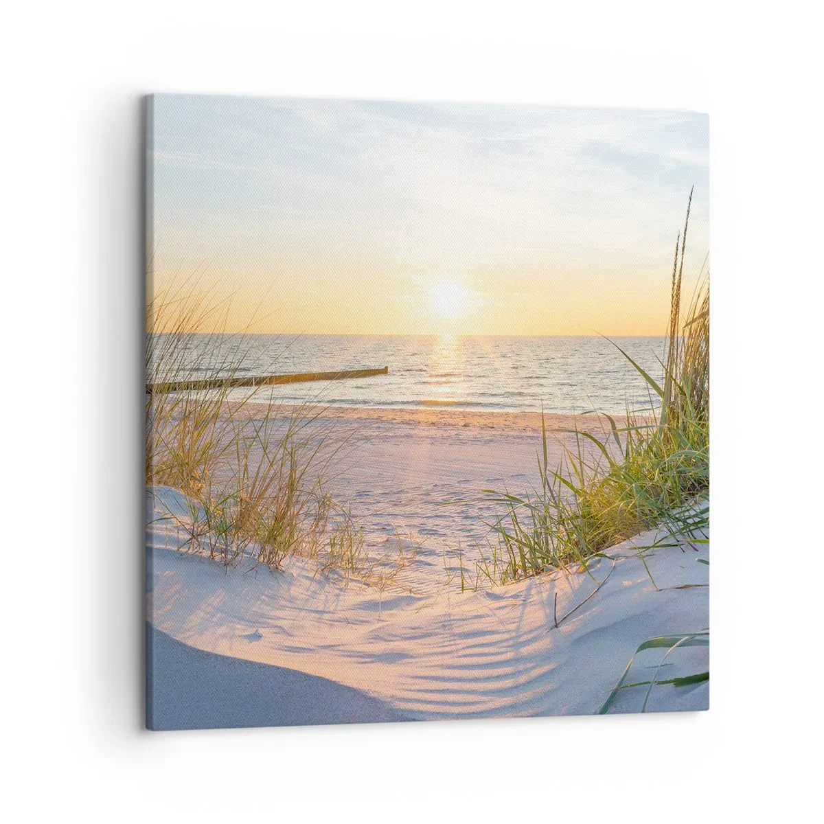 Quadro em tela - O som do mar, o canto dos pássaros, a praia selvagem entre a relva... - 50x50 cm