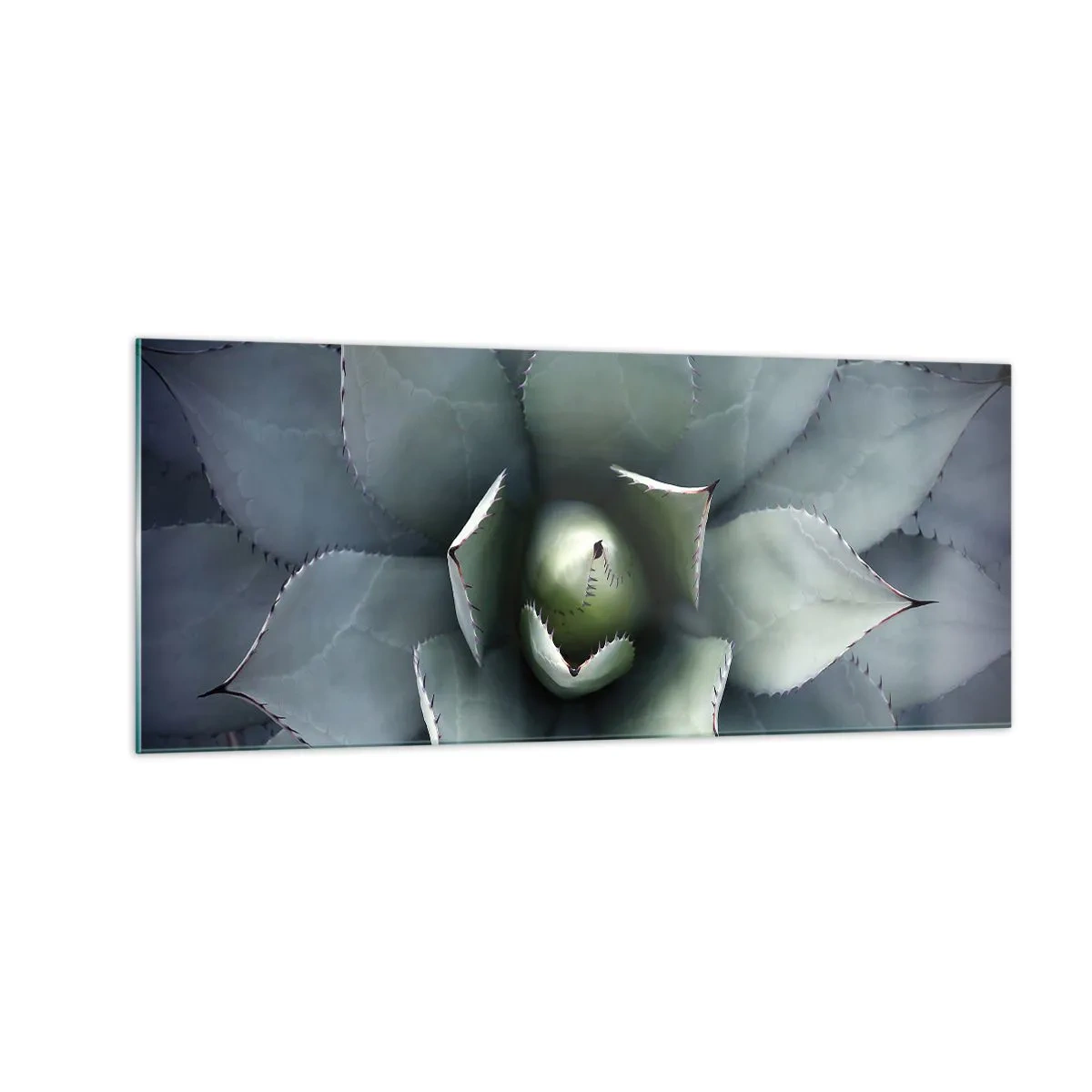 Quadro em vidro - Atrai e adverte - 100x40 cm