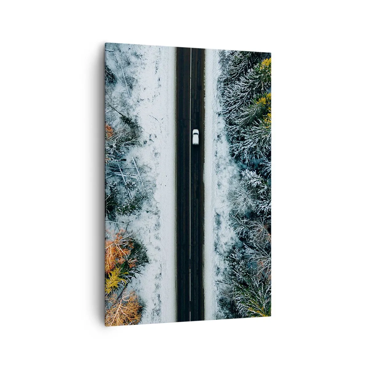 Quadro em tela - Cortar a floresta no inverno - 80x120 cm