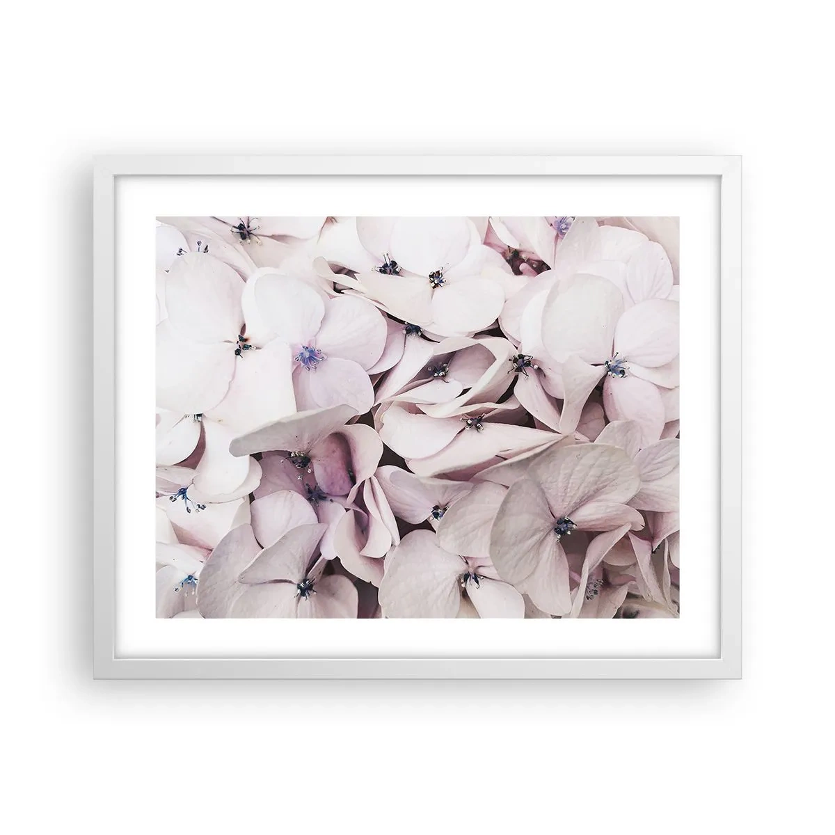 Pôster em moldura branca - Em uma inundação de flores - 50x40 cm
