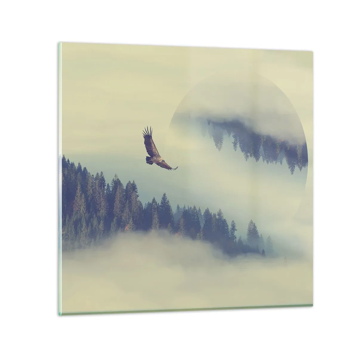 Quadro em vidro - Eu vi a sombra de uma águia - 70x70 cm