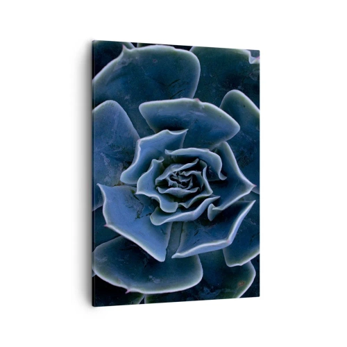 Quadro em tela - Flor do deserto - 50x70 cm