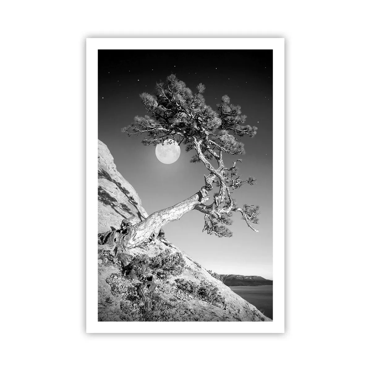 Pôster - Guerreira vitoriosa - 61x91 cm