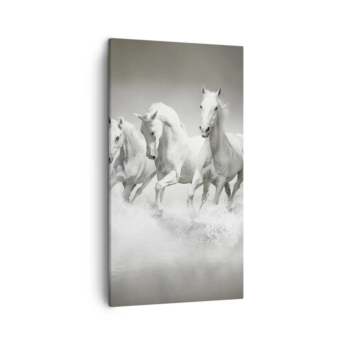 Quadro em tela - Loucura branca - 45x80 cm