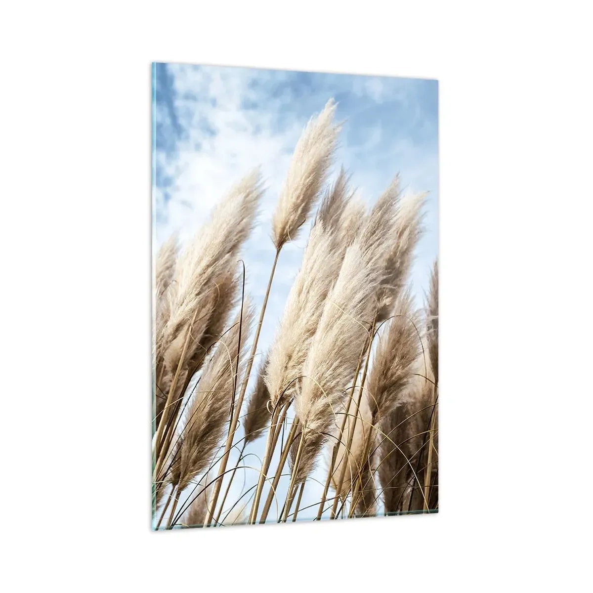 Quadro em vidro - Carícia ensolarada e ventosa - 80x120 cm