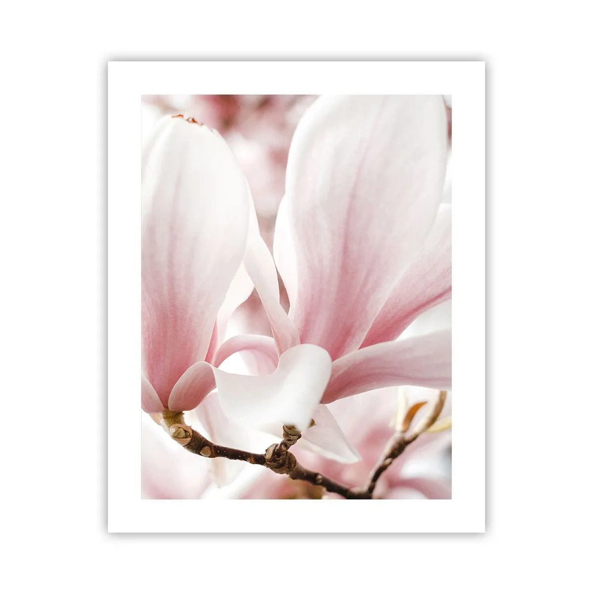 Pôster - Sensibilidade infinita - 40x50 cm