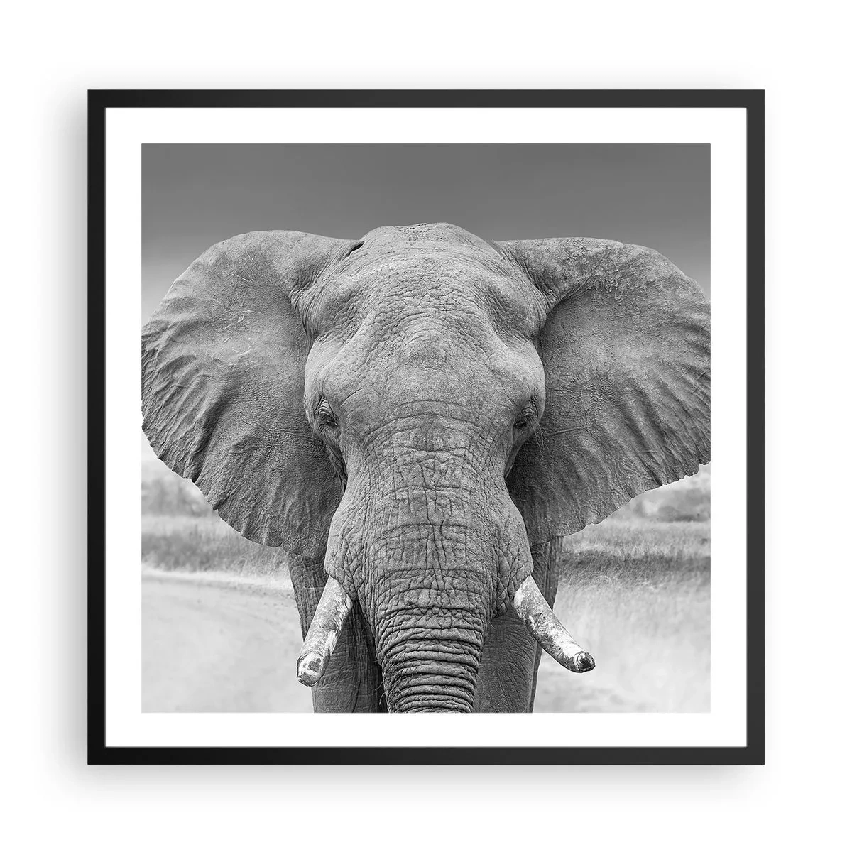 Pôster com moldura preta - Bem-vindo ao meu mundo - 60x60 cm