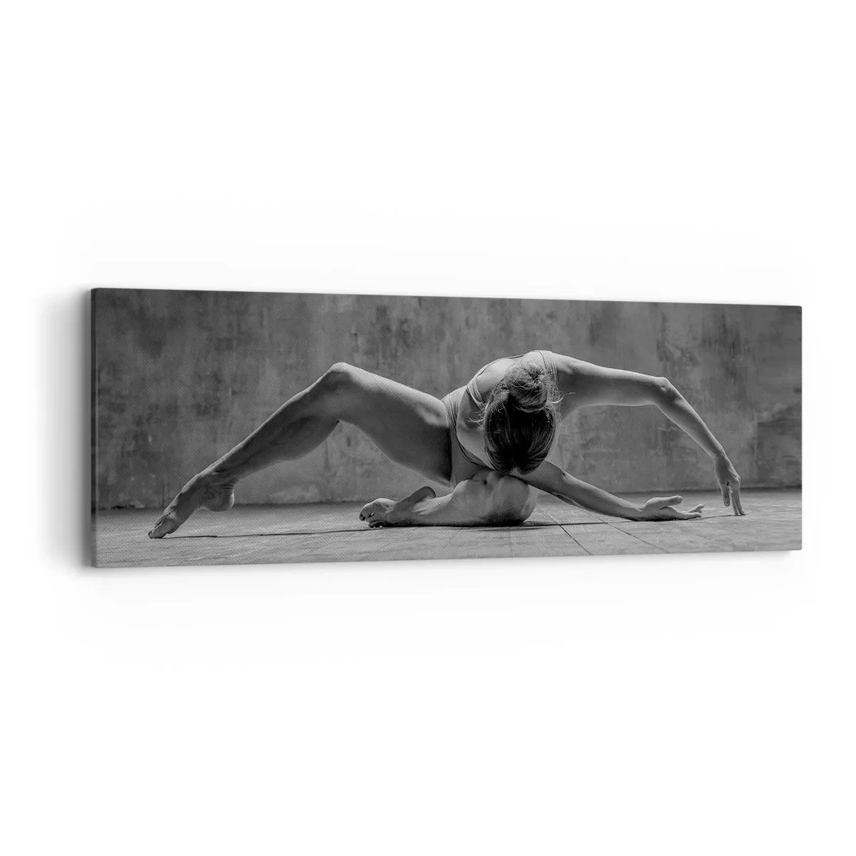 Quadro em tela - Simetria encontrada - 90x30 cm