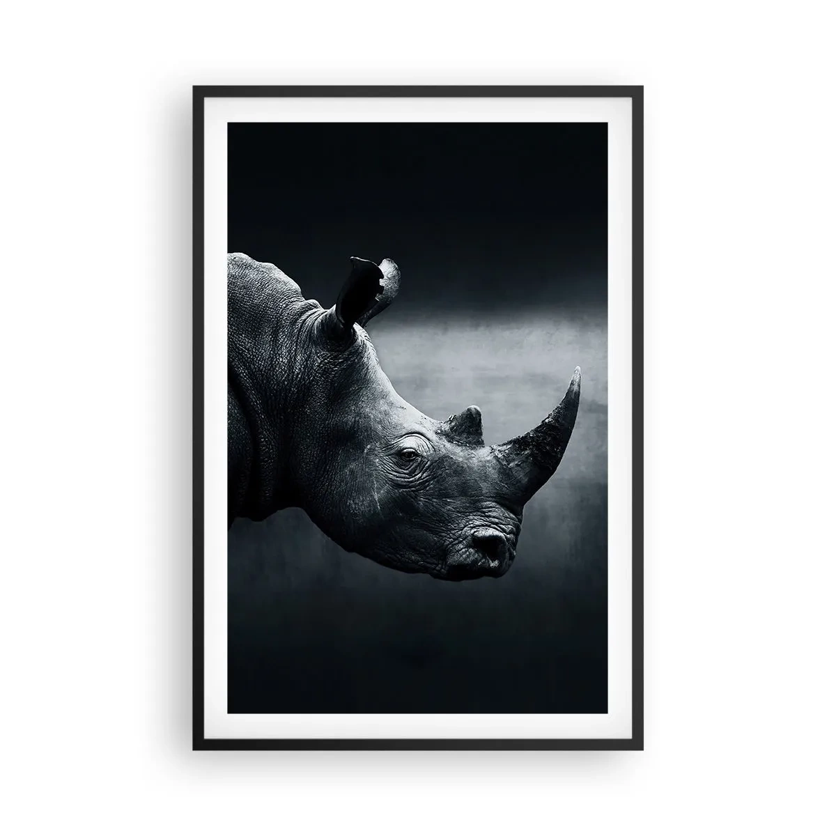 Pôster com moldura preta - Perfil direito - 61x91 cm