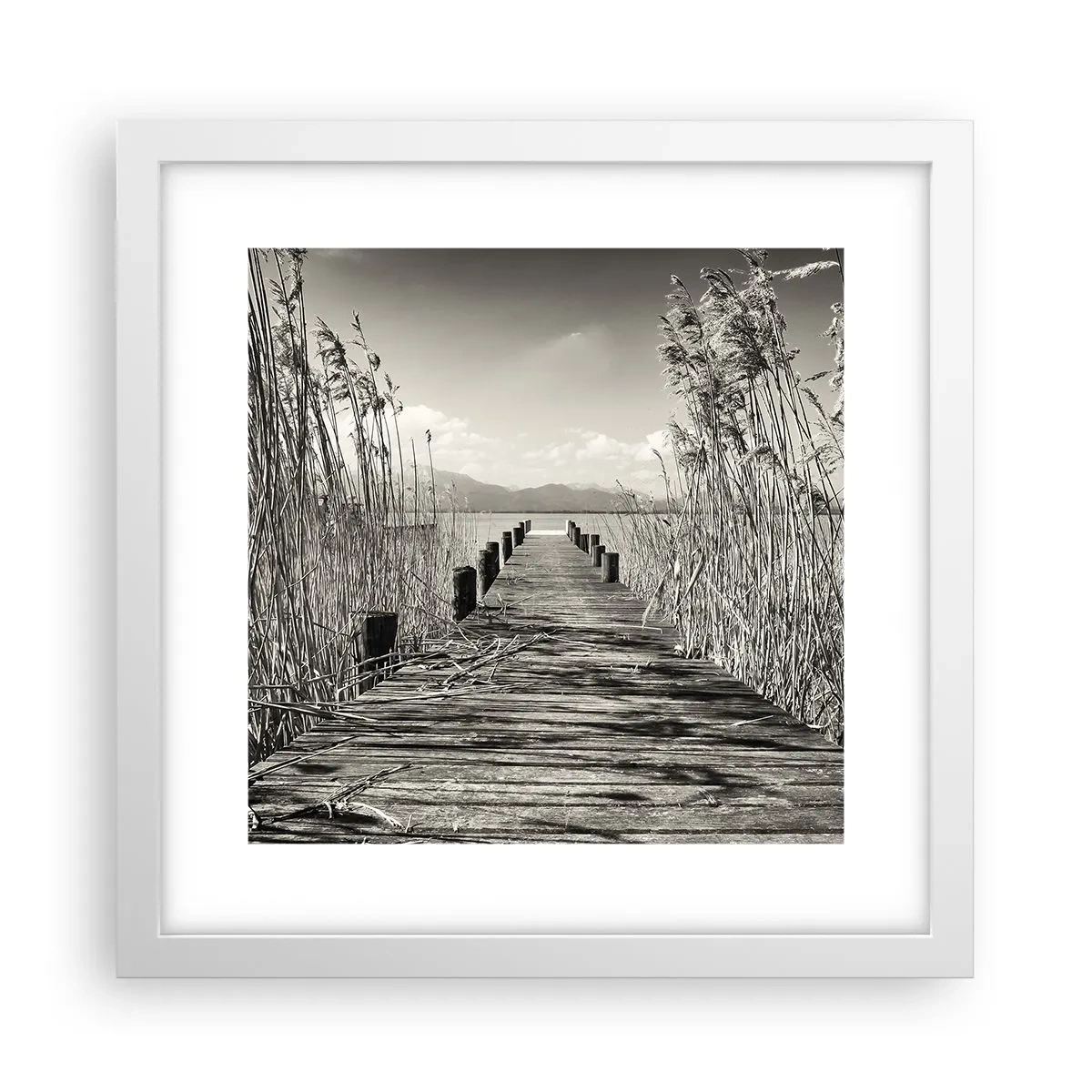 Pôster em moldura branca - No silêncio da relva - 30x30 cm