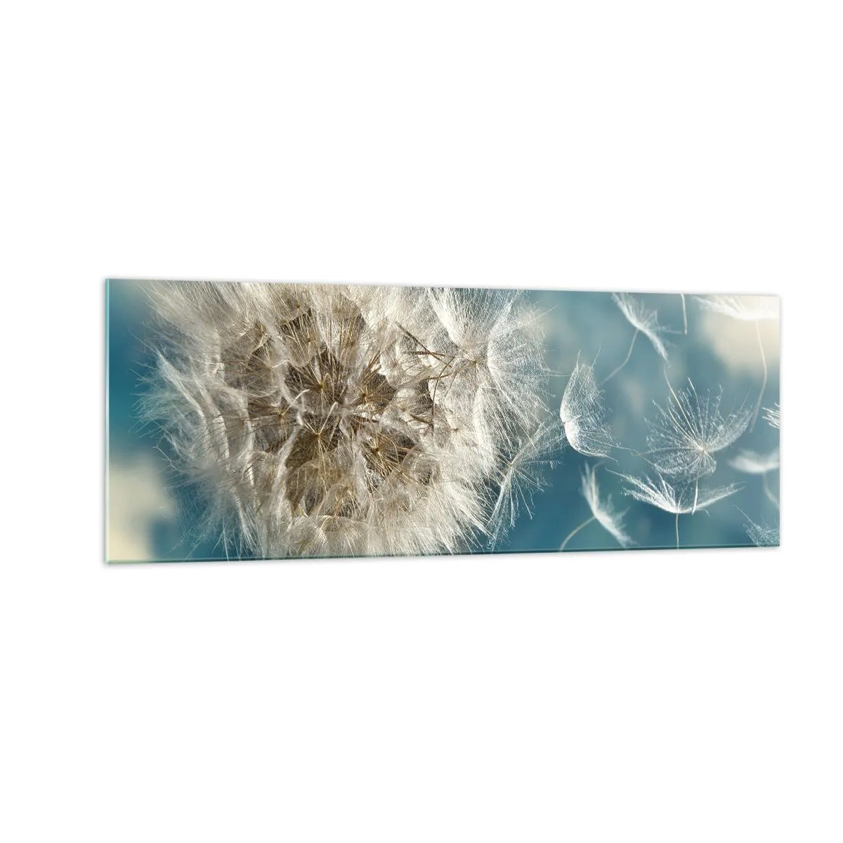 Quadro em vidro - Respiração de um anjo - 140x50 cm