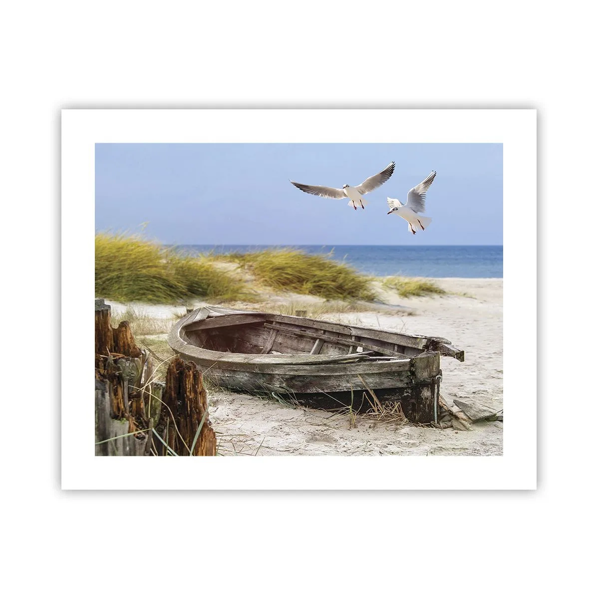 Pôster - Banhado pelo vento - 50x40 cm