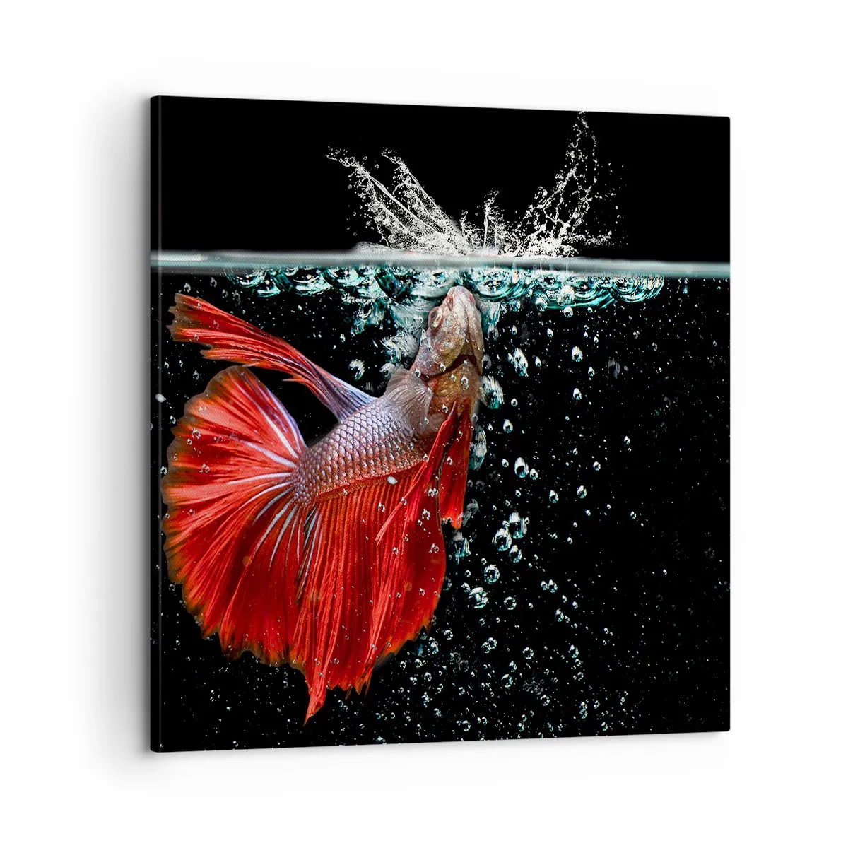 Quadro em tela - Tens três desejos - 60x60 cm