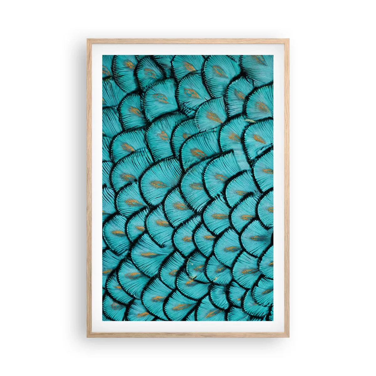 Pôster com moldura de carvalho claro - A grande gala de penas - 61x91 cm