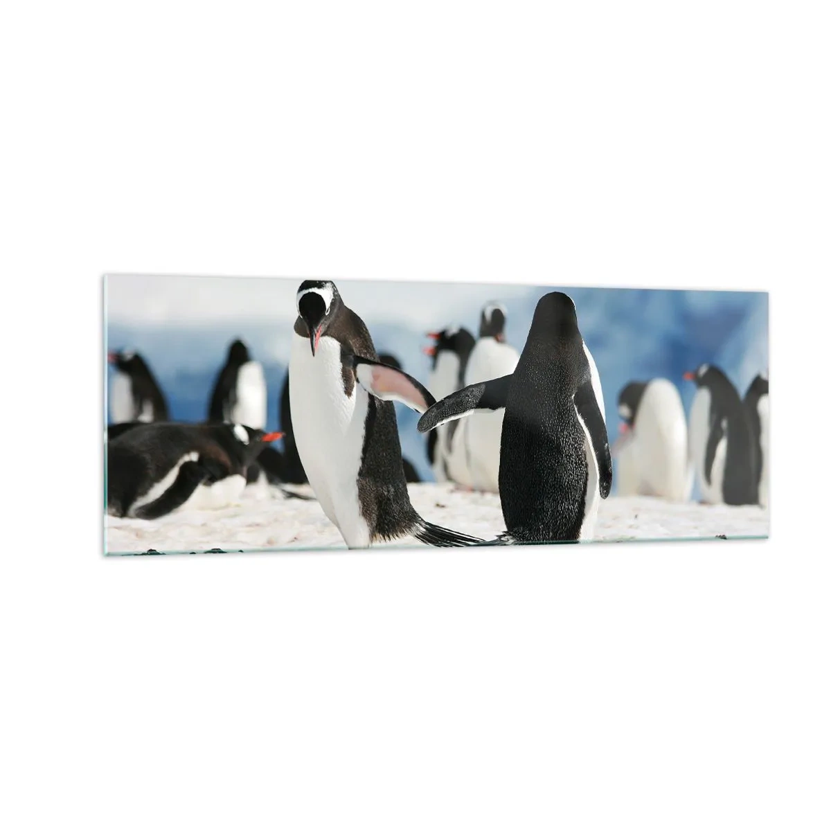 Quadro em vidro - Dança na neve - 140x50 cm
