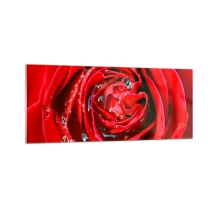 Quadro em vidro - Em gotas de orvalho - 100x40 cm