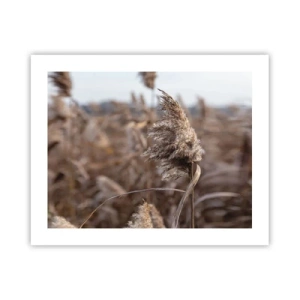 Pôster - É hora de voar com o vento - 50x40 cm