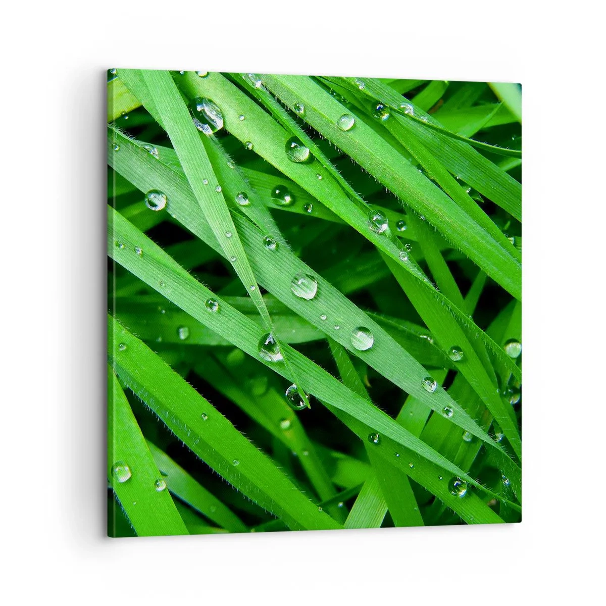 Quadro em tela - Jogue no verde - 60x60 cm