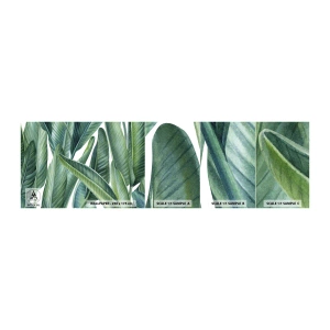 Amostra de papel de parede autocolante Deluxe Sticker - O próprio verde - Folhas verdes, Planta tropical, Natureza - 100x30 cm