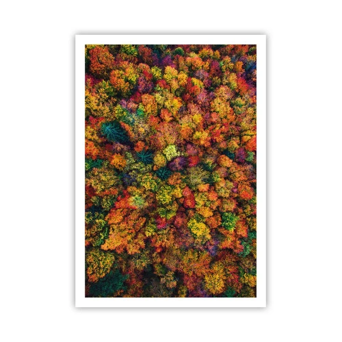 Pôster - Bouquet de árvores de Outono - 70x100 cm