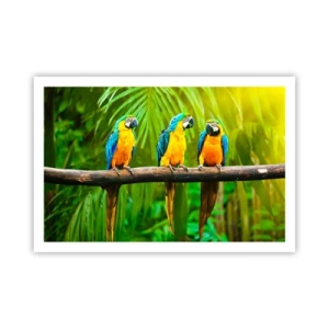 Pôster - E ouviste dizer que ela...? - 91x61 cm