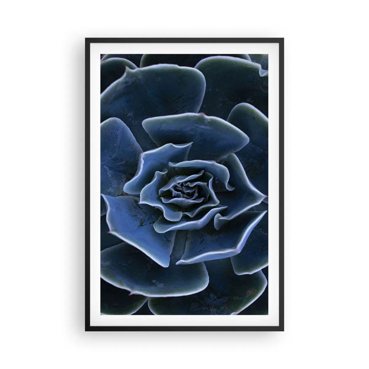 Pôster com moldura preta - Flor do deserto - 61x91 cm
