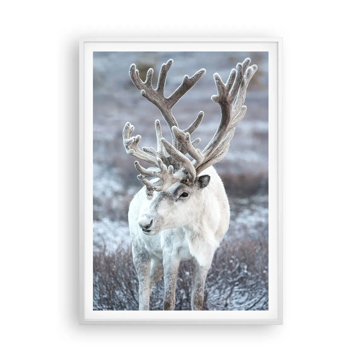 Pôster em moldura branca - Retrato ao sol - 70x100 cm