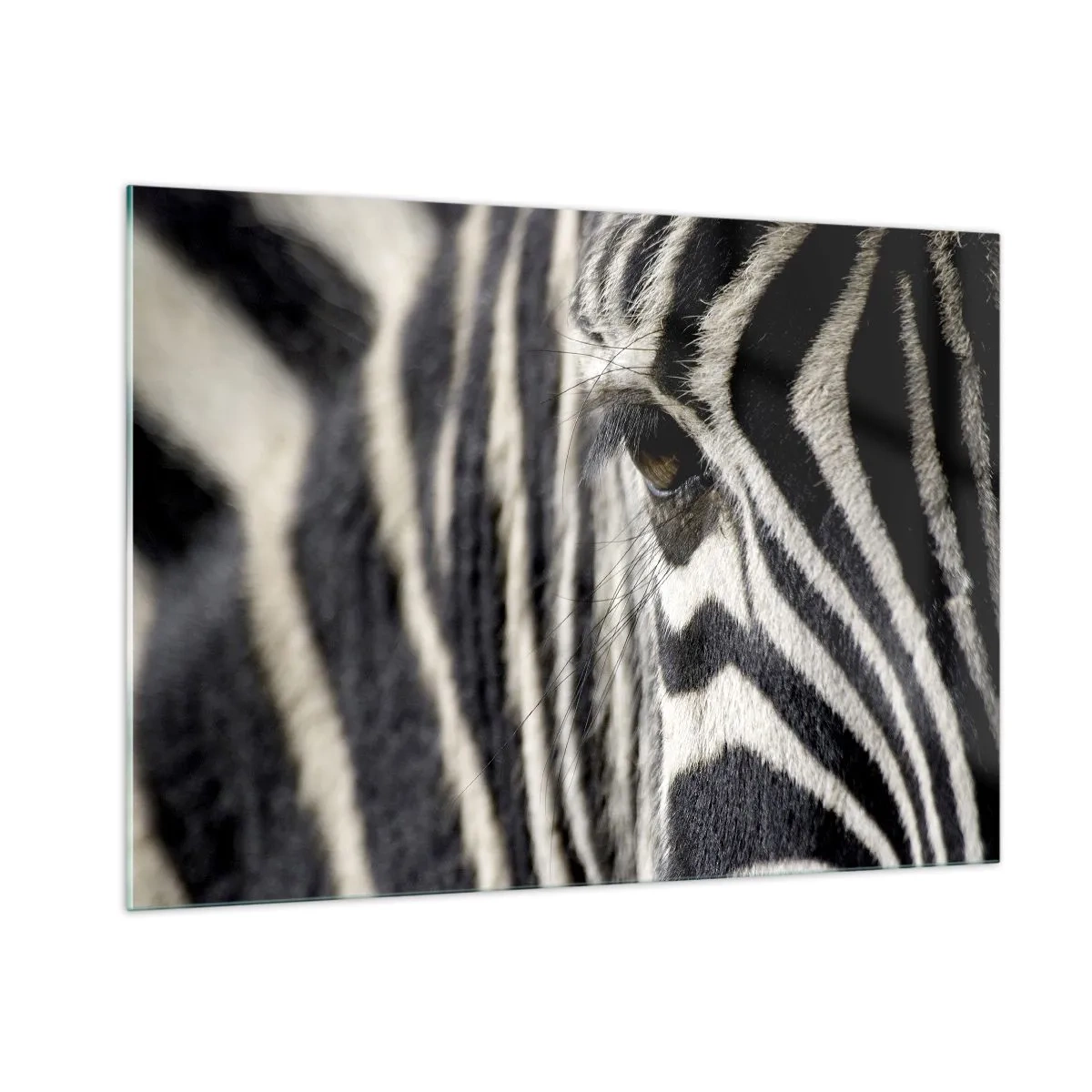 Quadro em vidro - Retrato em listras - 100x70 cm