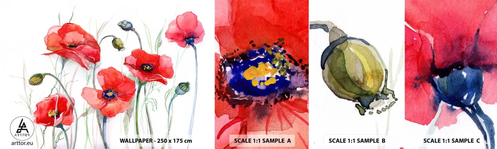 Amostra de Papel de Parede Standard Eco - Flores polacas - Flores, Sementes de papoula, Natureza - 100x30 cm