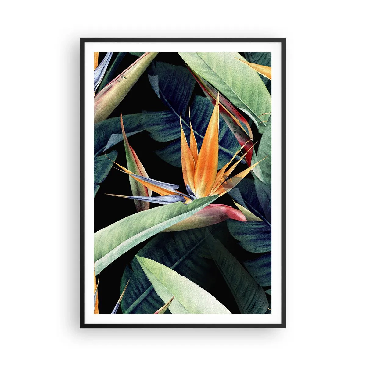 Pôster com moldura preta - Flores ardentes dos trópicos - 70x100 cm