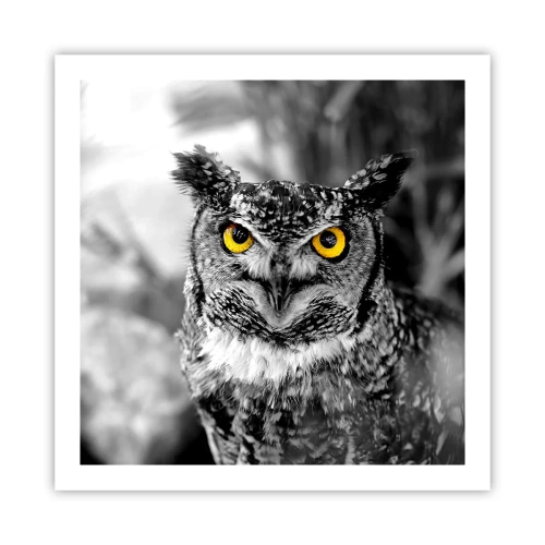 Pôster - Nada pode ser escondido - 60x60 cm