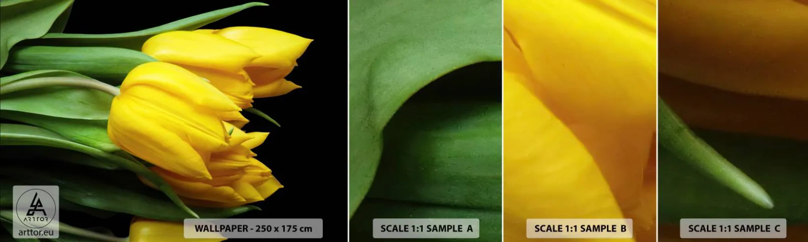 Amostra de Papel de Parede Standard Eco - Feitas a partir do sol - Flores, Tulipas, Buquê de flores - 100x30 cm