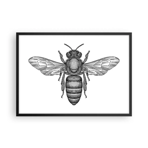 Pôster com moldura preta - Retrato de um inseto - 70x50 cm
