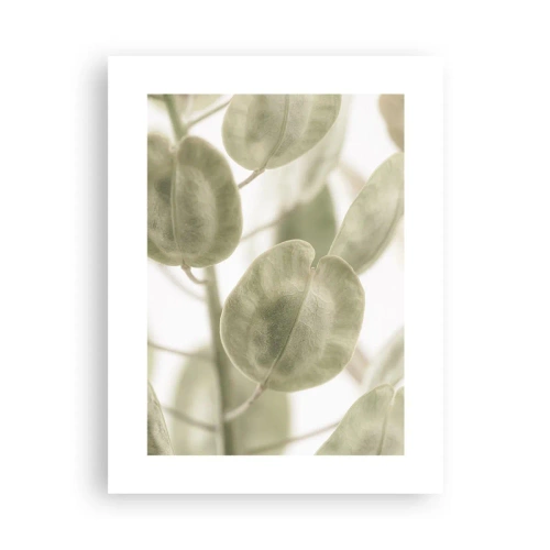 Pôster - No começo eram folhas... - 30x40 cm