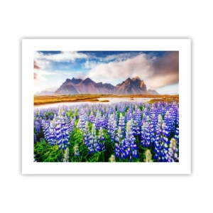 Pôster - Força e severidade ao lado da suavidade - 50x40 cm