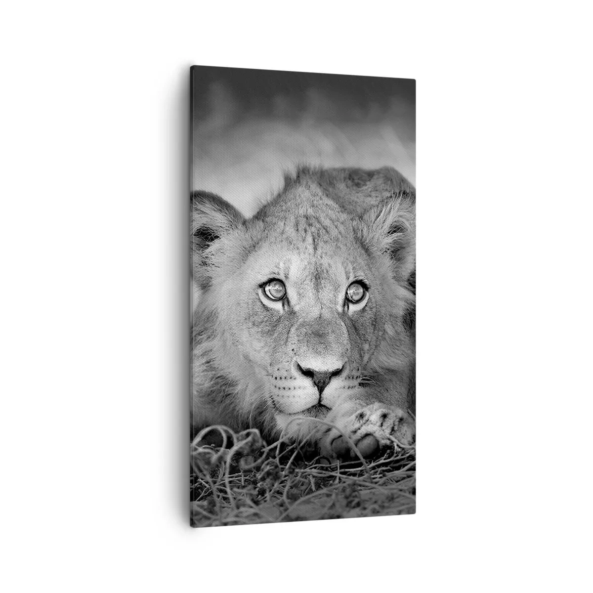 Quadro em tela - Cachorro real - 55x100 cm