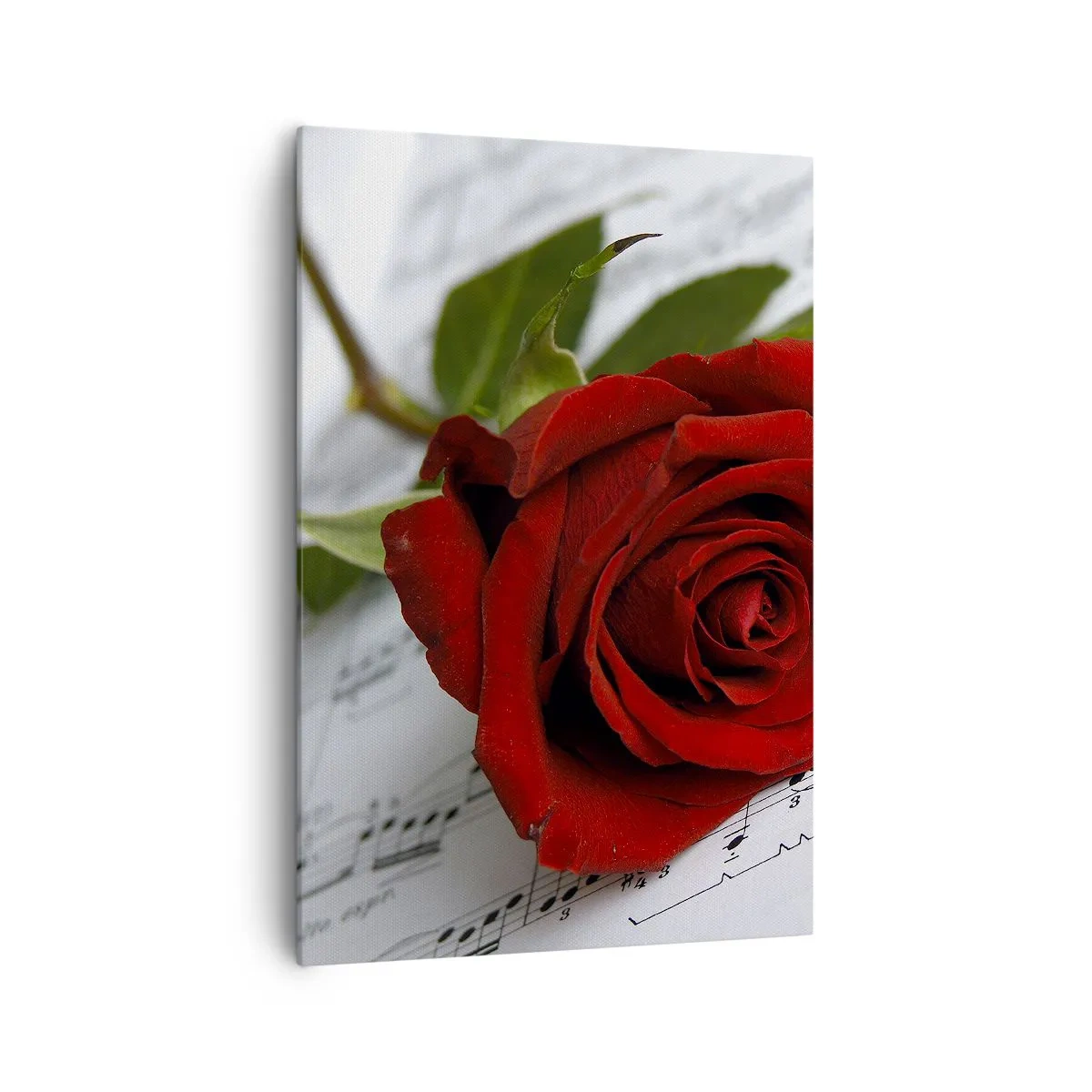 Quadro em tela - Música de sentimentos em escarlate - 70x100 cm