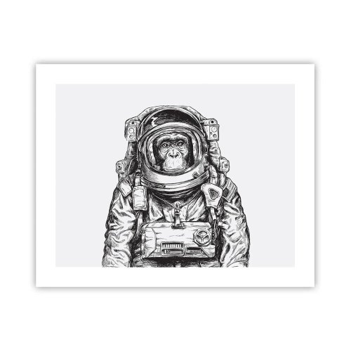 Pôster - Evolução alternativa - 50x40 cm