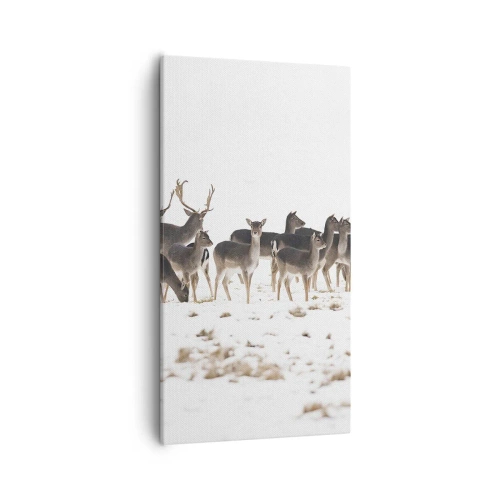 Quadro em tela - O Natal se aproxima? - 55x100 cm