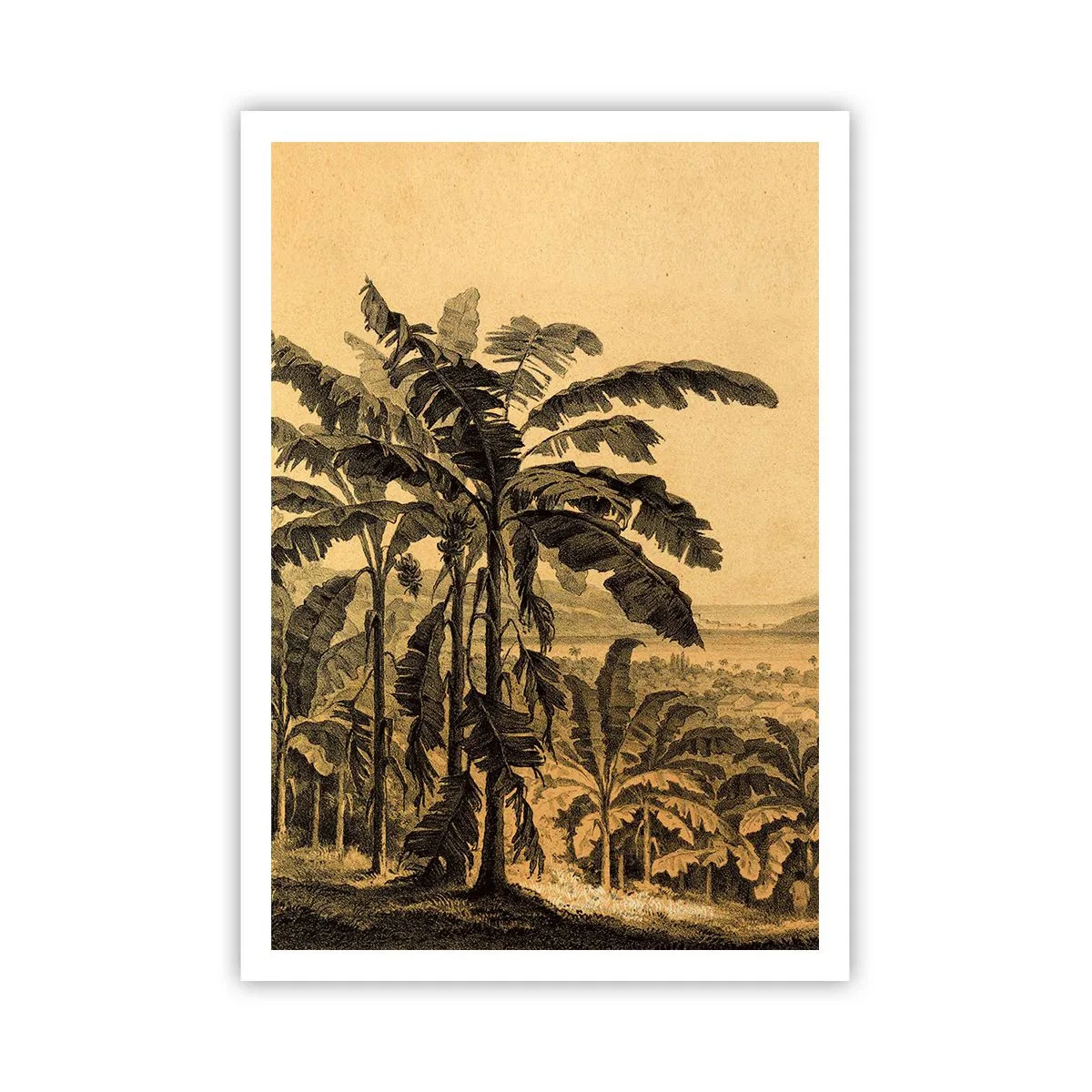 Pôster - num clima colonial - 70x100 cm