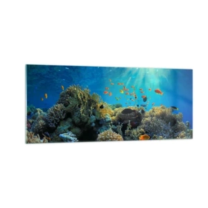 Quadro em vidro - Tesouros subaquáticos - 100x40 cm