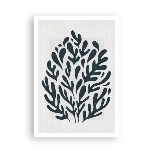 Pôster - Formas da natureza - 70x100 cm