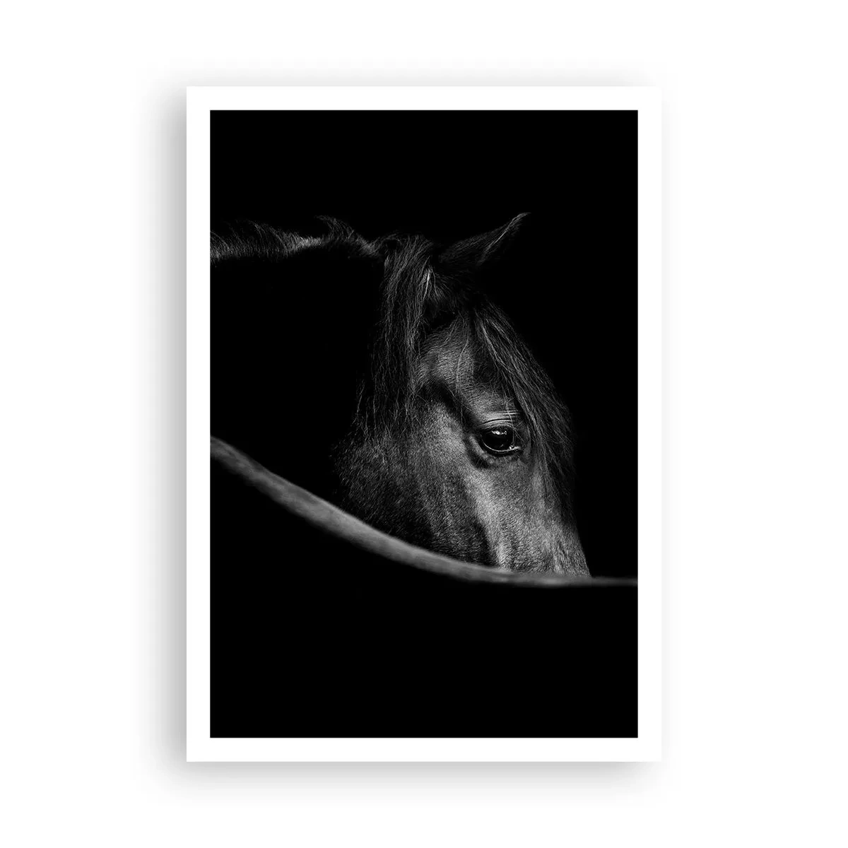 Pôster - Príncipe Negro - 70x100 cm