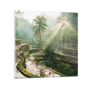 Quadro em vidro - Crescer ao sol - 60x60 cm