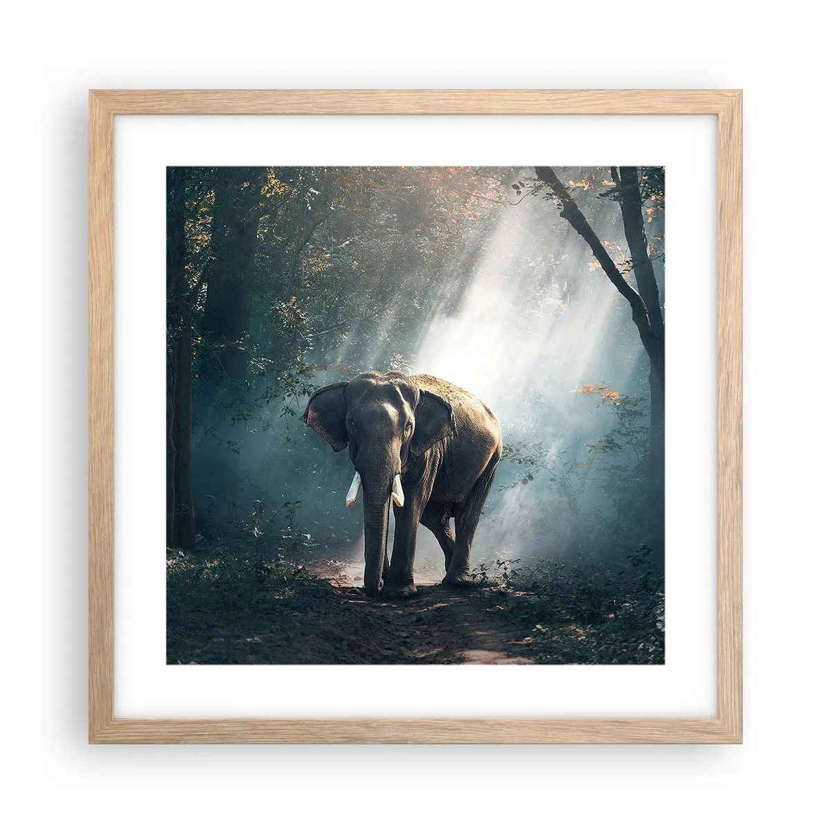 Pôster com moldura de carvalho claro - Um passeio descontraído - 40x40 cm