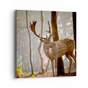 Quadro em tela - A Luz da Juventude - 30x30 cm