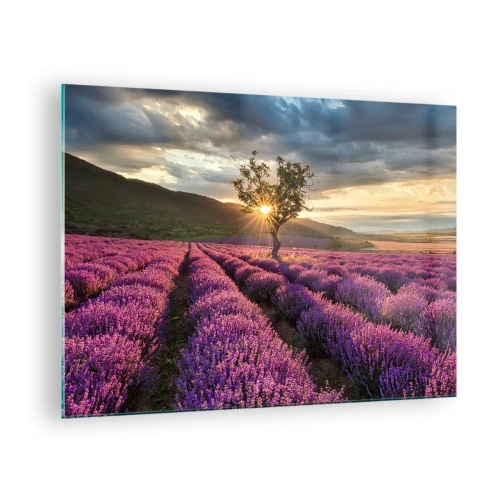 Quadro em vidro - Um campo de lavanda com uma árvore solitária sob os raios do sol poente - 70x50cm - Aroma lilás - Decoração de parede moderna para a sala de estar e quarto ARTTOR