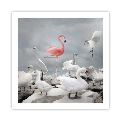 Pôster - Como vim parar aqui? - 60x60 cm